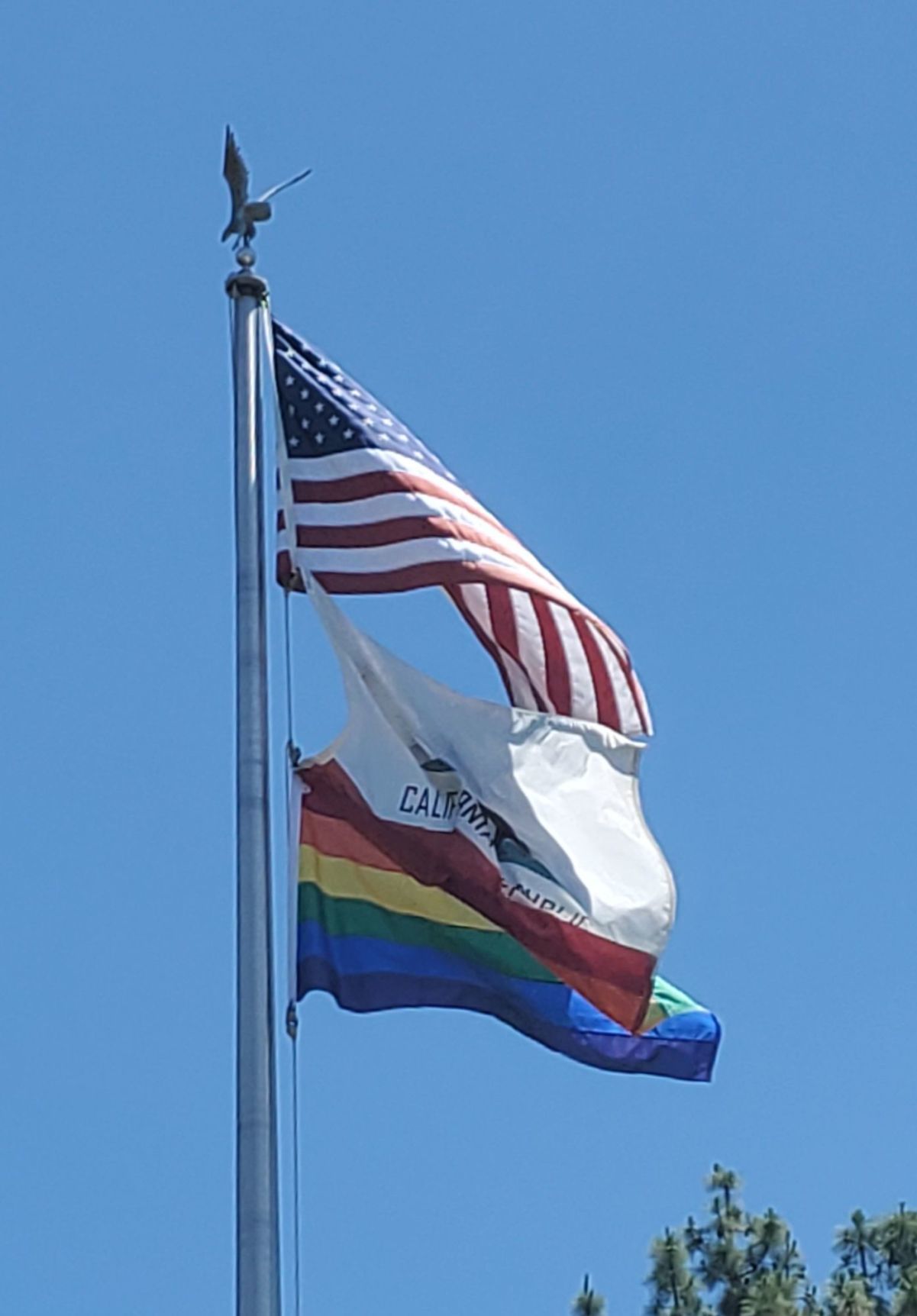 Flags in front of Vintage Hall